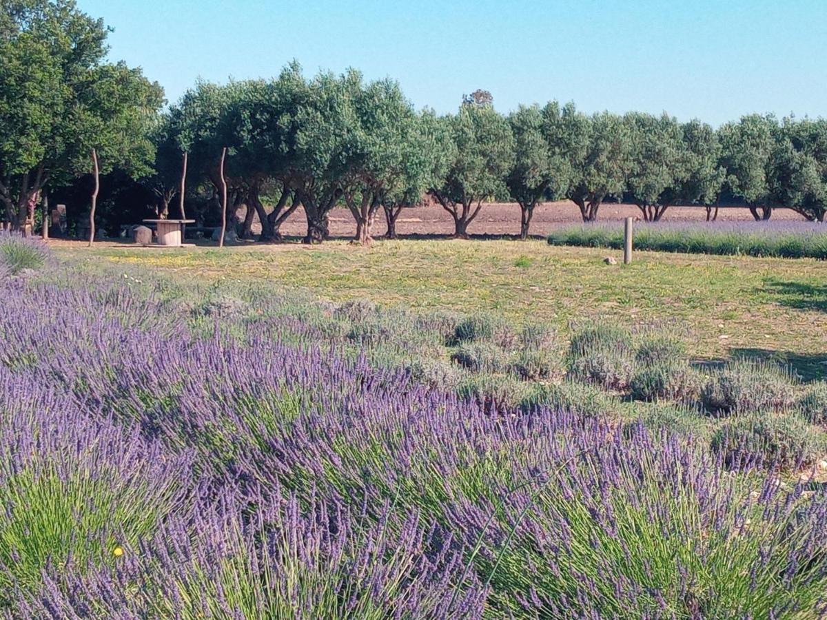 Agriturismo Il Melograno Riola Sardo Eksteriør bilde